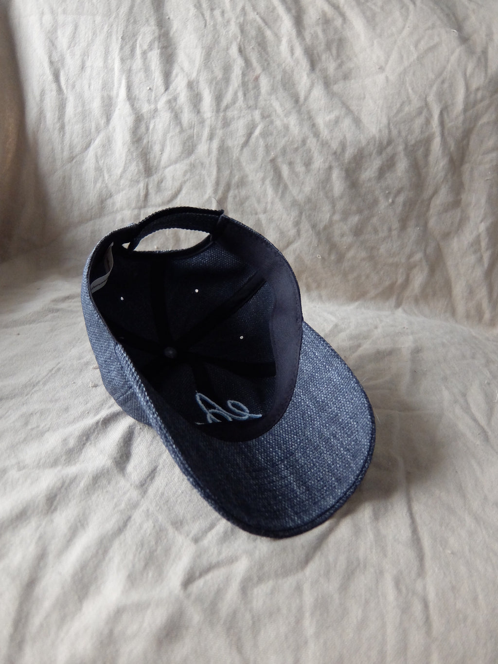 AEG Logo Cap