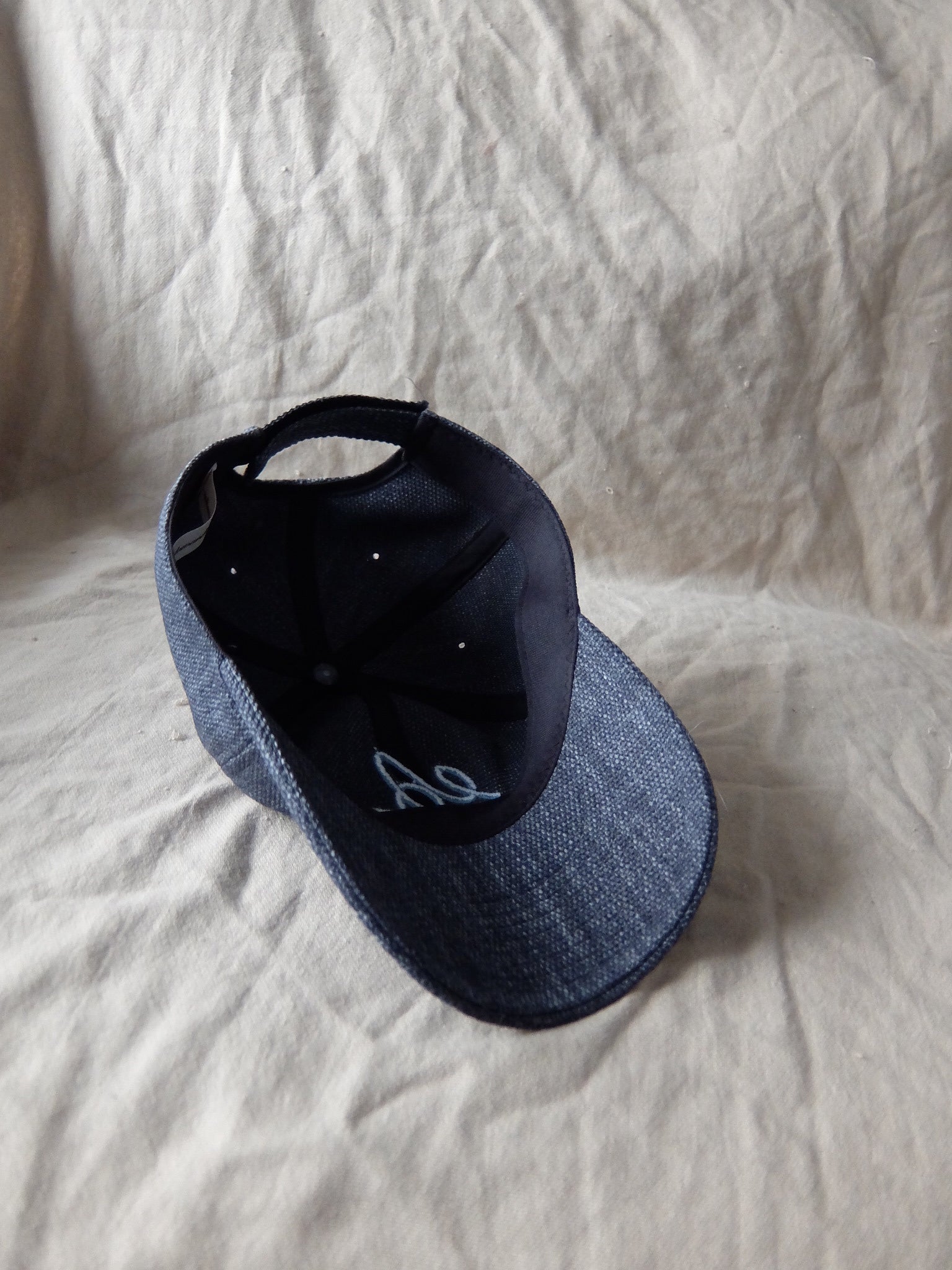 AEG Logo Cap